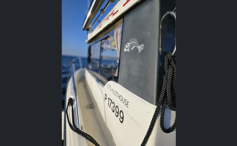 Quicksilver 675 Pilothouse-kuva-11